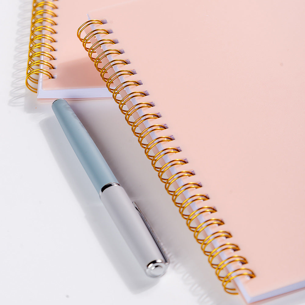 Weekly Planner - Assorted Colors
